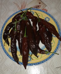 aji pansa1 (1)